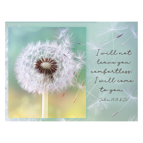 Tranquility Sympathy Boxed Cards FT22691 card 3