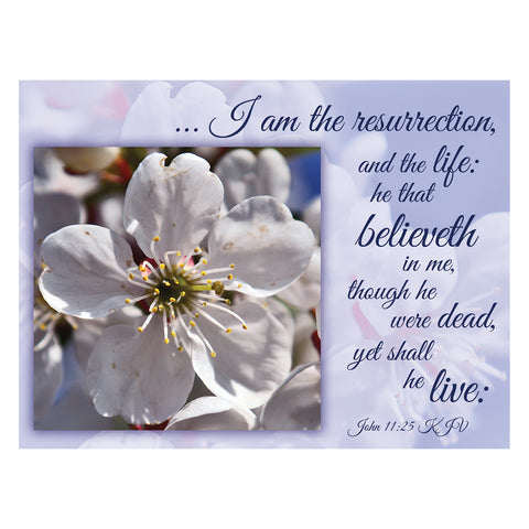 Tranquility Sympathy Boxed Cards FT22691 card 4