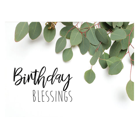 Eucalyptus Birthday Boxed Cards FT22693 card 3