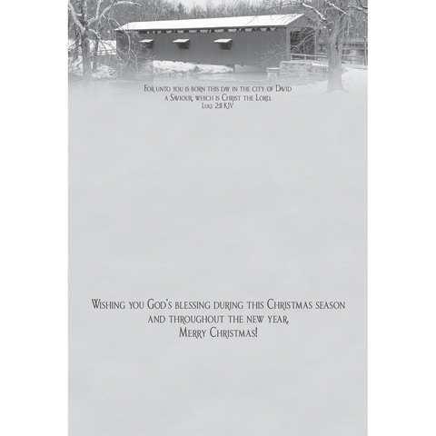 FT22710 Snowy Bridges_3.png
