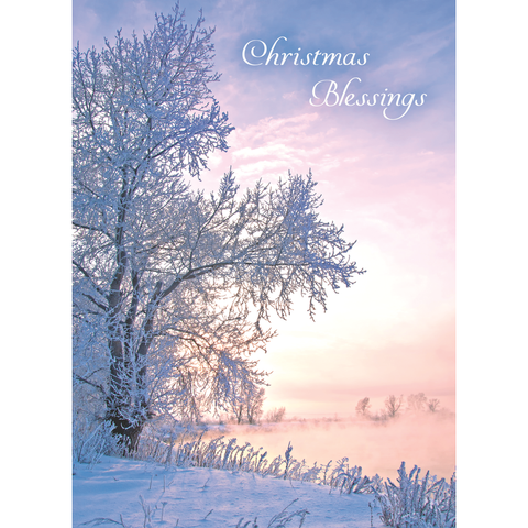 Family Treasures Christmas Waterscapes greeting card