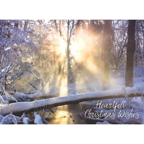FT22712 Waterscapes_8.png