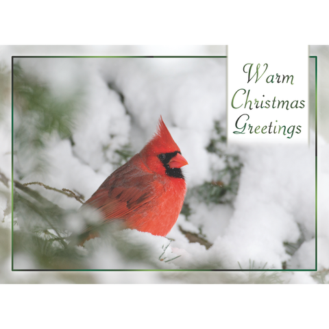 FT22713 Winter Cheer_2.png