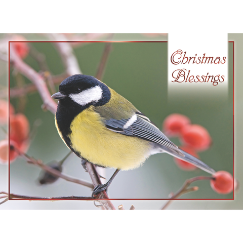 FT22713 Winter Cheer_4.png