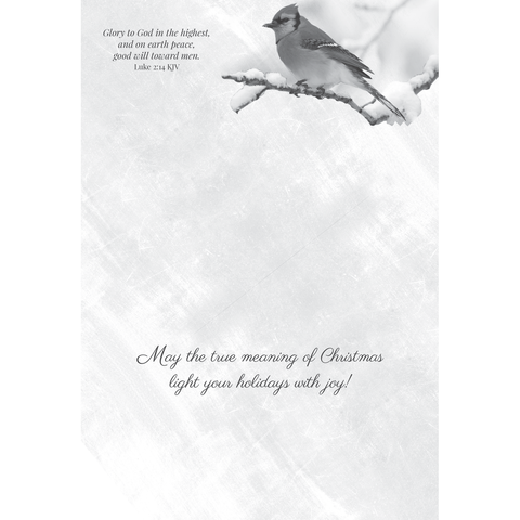 FT22713 Winter Cheer_7.png