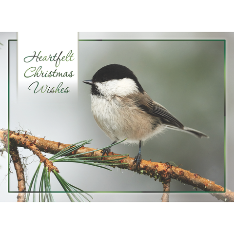 FT22713 Winter Cheer_8.png