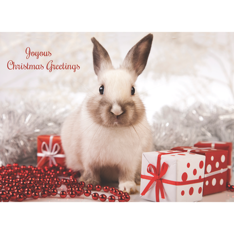 Family Treasures Christmas Pets greeting card showing rabbit