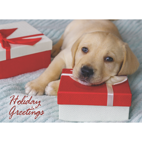 Family Treasures Christmas Pets greeting card showing dog