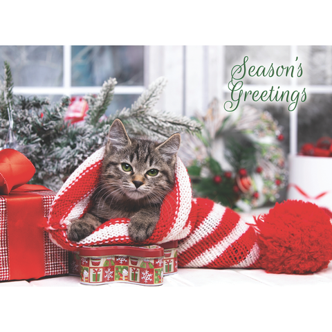 Family Treasures Christmas Pets greeting card showing kitten