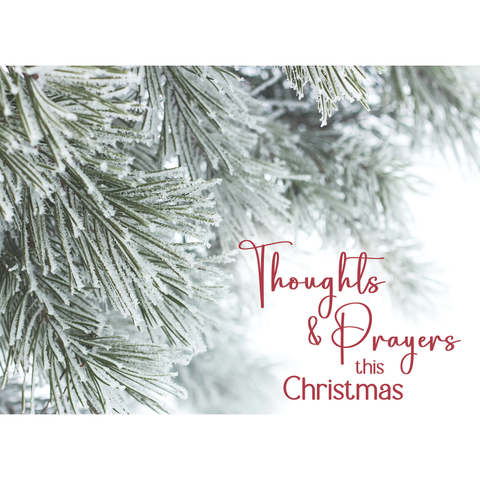 With Sympathy Christmas Boxed Cards FT22717
