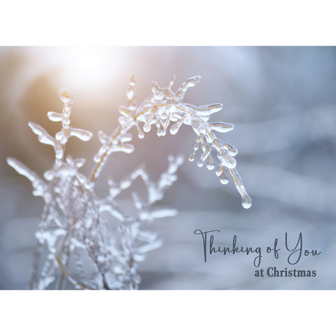 With Sympathy Christmas Boxed Cards FT22717