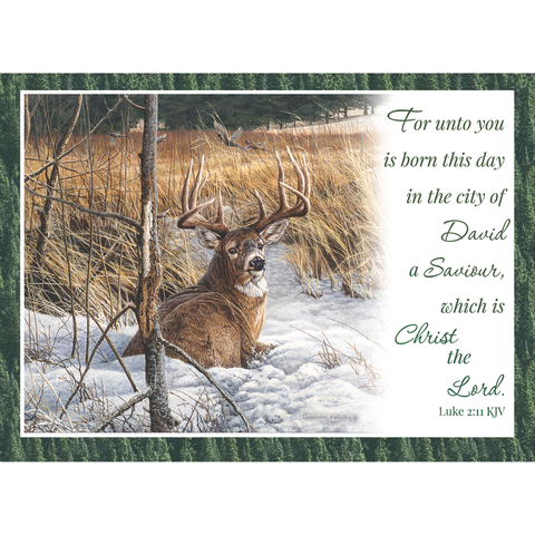 FT22718 Winter Deer_5.png