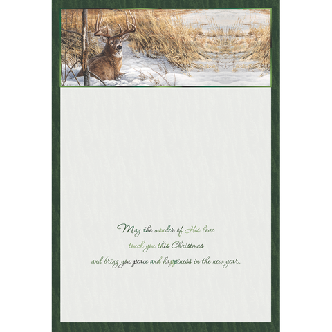 FT22718 Winter Deer_6.png