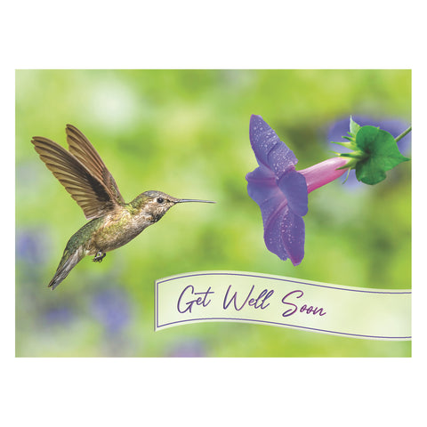 Hummingbirds Get Well Boxed Cards FT22722 front of card 1