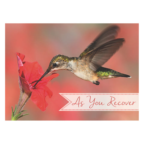 Hummingbirds Get Well Boxed Cards FT22722 front of card 3