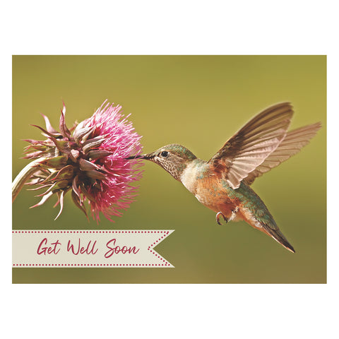 Hummingbirds Get Well Boxed Cards FT22722 front of card 4