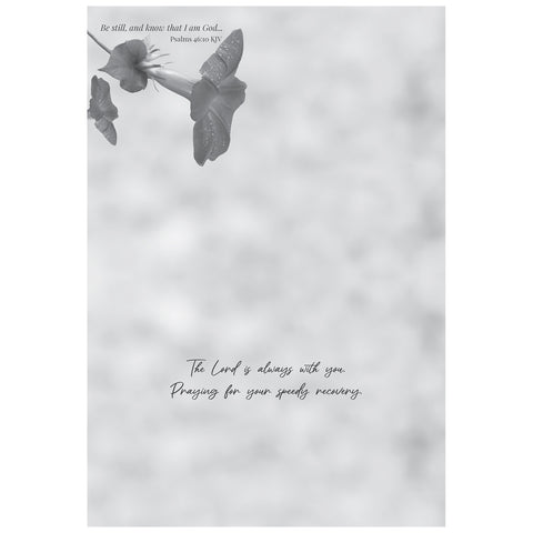 Hummingbirds Get Well Boxed Cards FT22722 inside of card 1