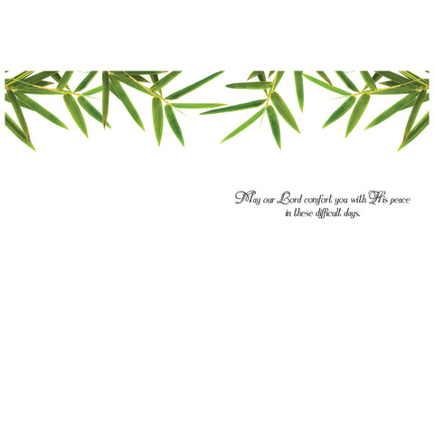 Plants Sympathy Boxed Cards FT22729 inside of card 1