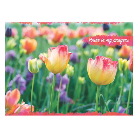 Flower Garden Praying For You Boxed Cards FT22730 front of card 1