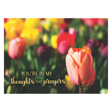 Flower Garden Praying For You Boxed Cards FT22730 front of card 3