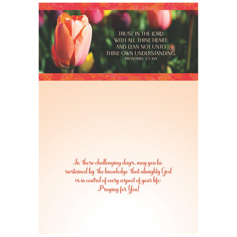 Flower Garden Praying For You Boxed Cards FT22730 inside of card 3