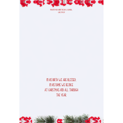 FT22791 Winter Berries_2.png