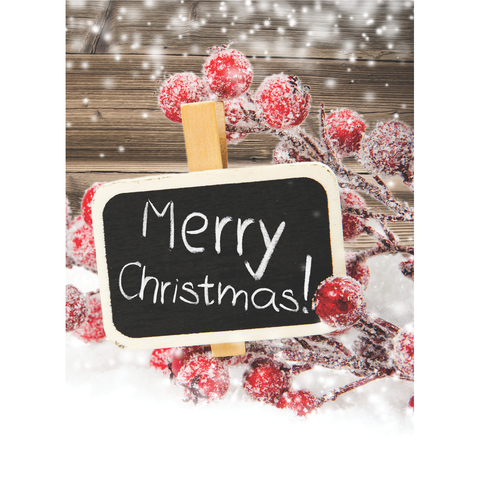 FT22791 Winter Berries_3.png
