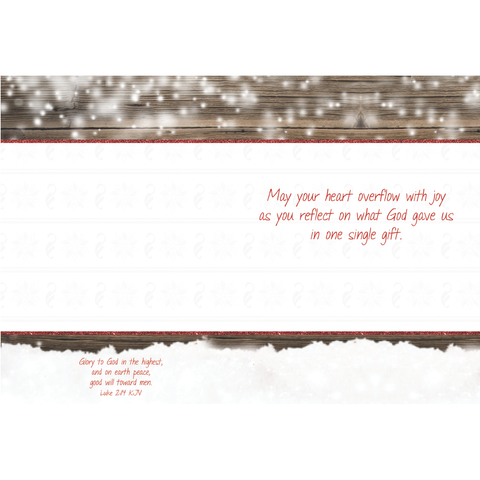 FT22791 Winter Berries_4.png