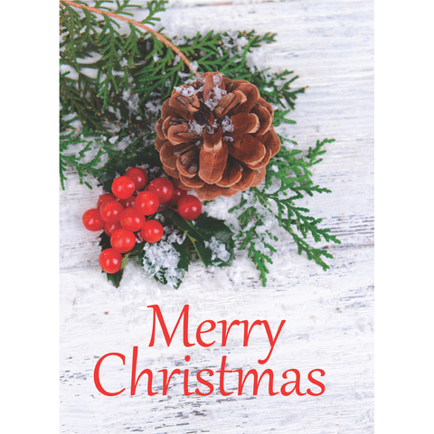 FT22791 Winter Berries_5.png