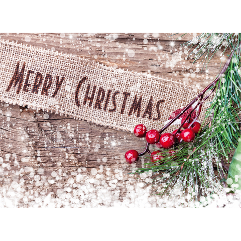 FT22791 Winter Berries_7.png