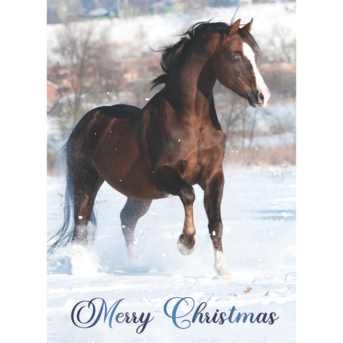 FT22793 Winter Horses_2.png