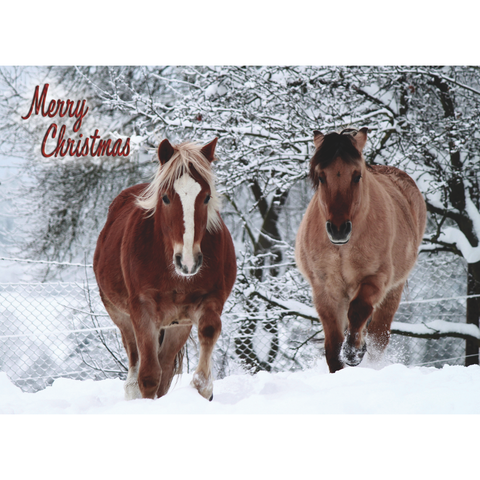 FT22793 Winter Horses_6.png