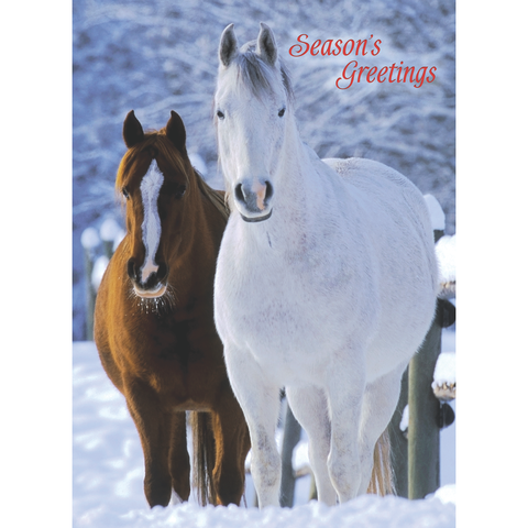 FT22793 Winter Horses_8.png