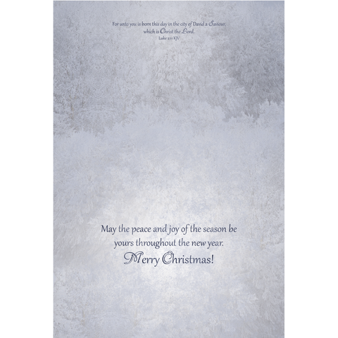 Churches Christmas Boxed Cards FT22794