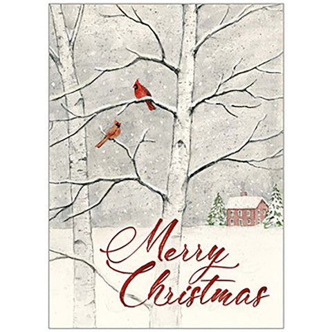 Cardinals In Snowy Tree Christmas Card Outside