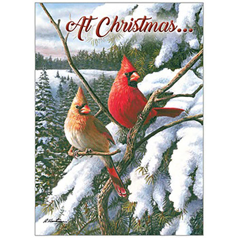 Cardinals Christmas Card Outside