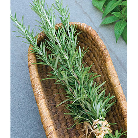 Rosemary leaves