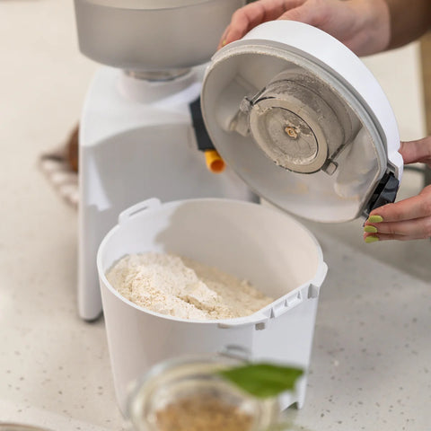 Flour in canister of NutriMill Impact White Grain Mill