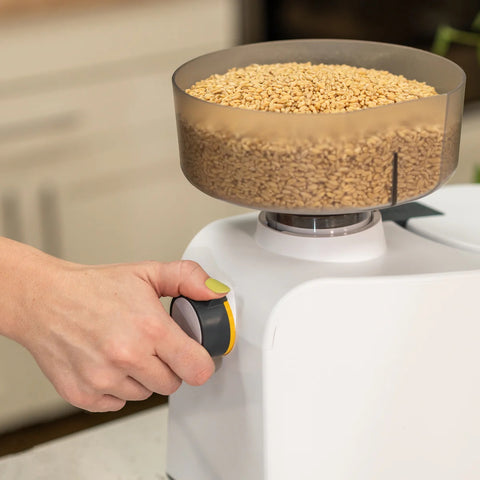 Grain in hopper of NutriMill Impact White Grain Mill