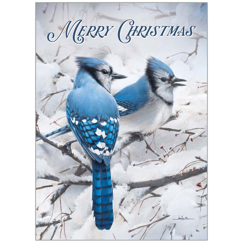 Jays in the Snow 20 Boxed Christmas Cards HBX98046