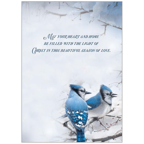 Jays in the Snow 20 Boxed Christmas Cards HBX98046 Inside