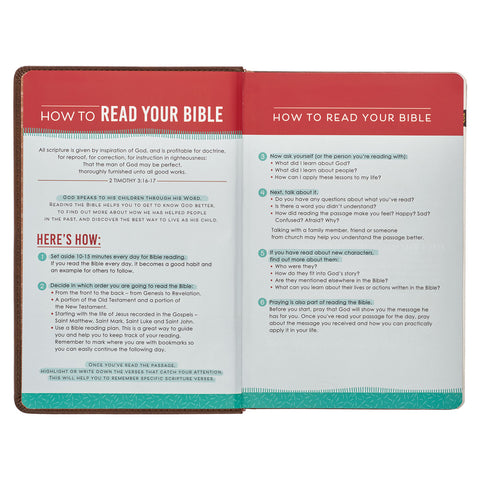 How to Read Your Bible