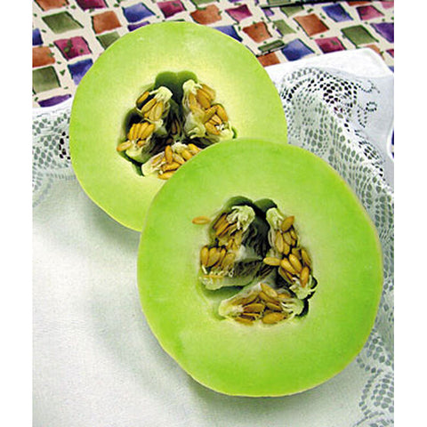Melon honeydew melons