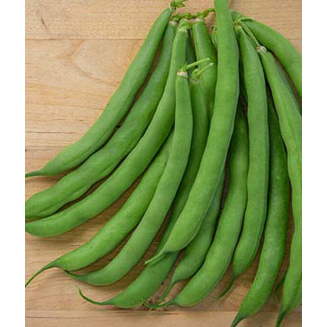 Tenderpod green beans
