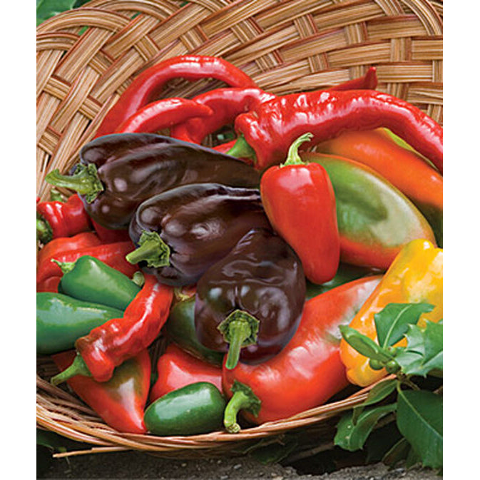 garden salsa pepper seeds Burpee Hot Blend Hot Pepper Seeds