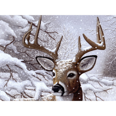 Buck in a snowy woods