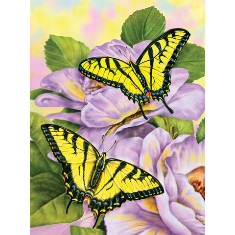 Butterfly picture
