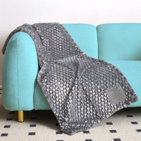 Throw Blanket Laying on Sofa