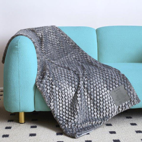 Throw Blanket Laying on Sofa