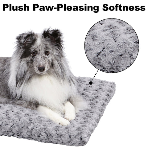 Dog on bed